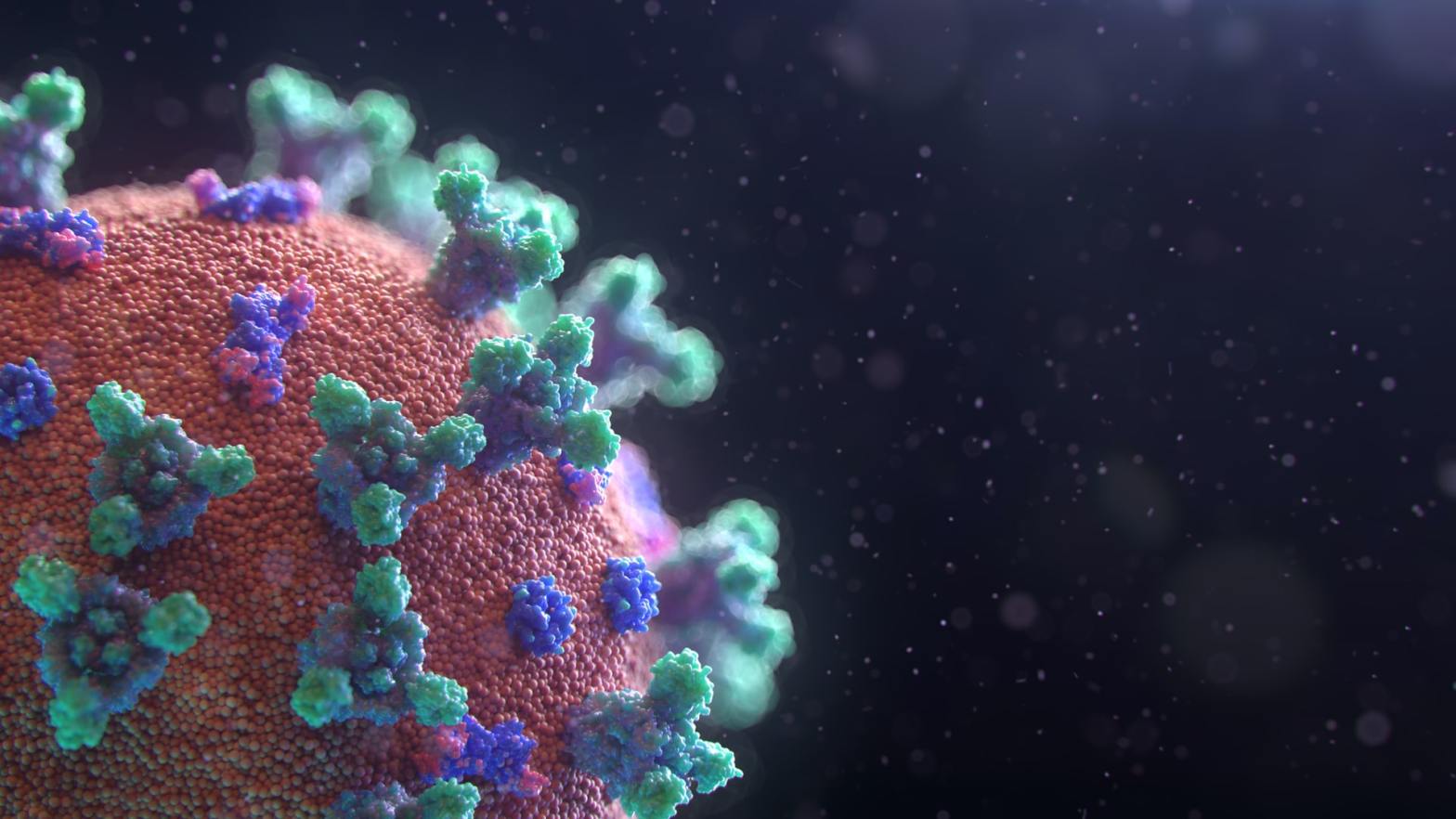 Computer-generated visualisation of the coronavirus
